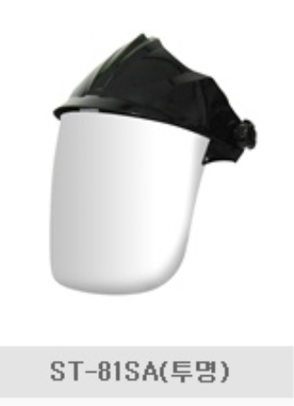 인터텔론 일반보안면