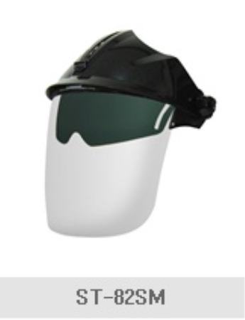 인터텔론 일반보안면