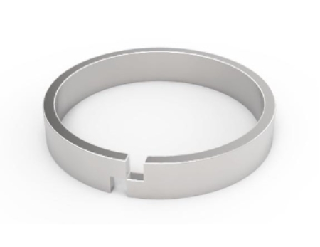 PLUNGER RING