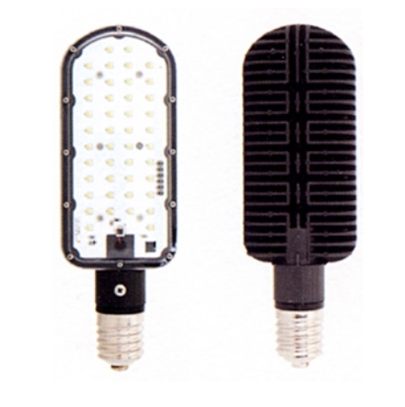 LED Security Light