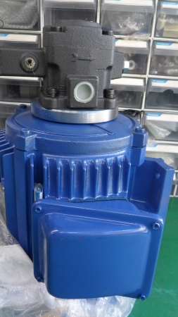 HIGEN MOTOR