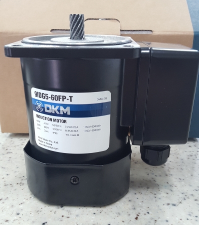 9IDG5-60FP-T/디케이엠/DKM/인덕션모터