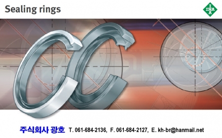 Sealing Ring _ Seal _ INA