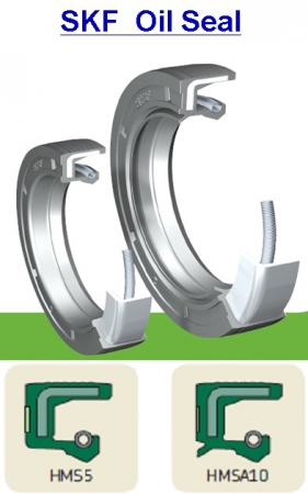 오일씰 _ OIL SEAL _ 리데나