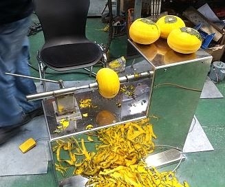 단호박박피기 반자동