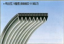 리브드V벨트