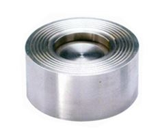PAN CHECK VALVE
