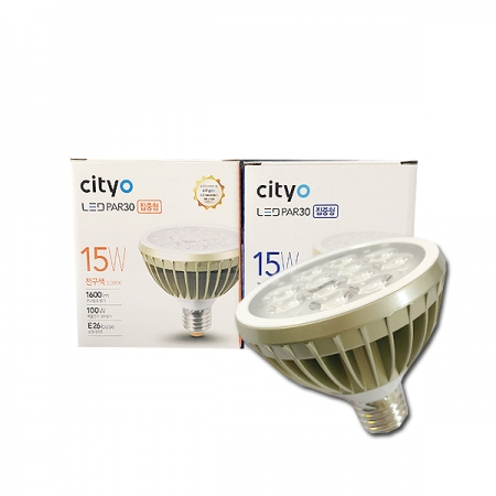 시티라이팅 LED PAR30