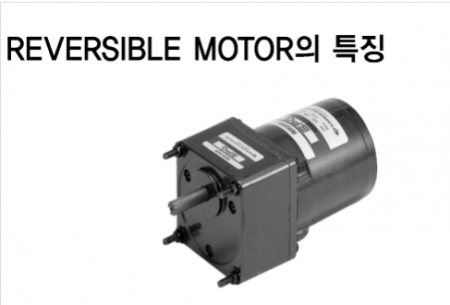 RIVERSIBLE Motor