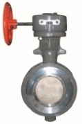 HIGH PERFORMANCE BUTTERFLY VALVE