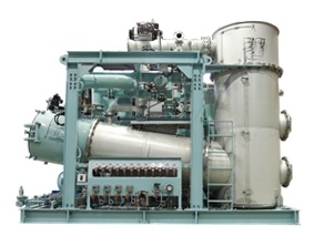 Ballast Water Treatment System