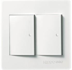 와이드 대2구 스위치