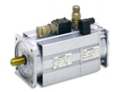 3상 비동기 서보 모터