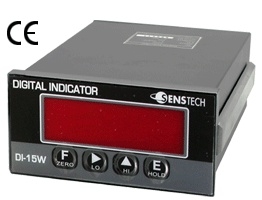 DIGITAL INDICATOR
