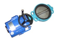 버터플라이 밸브