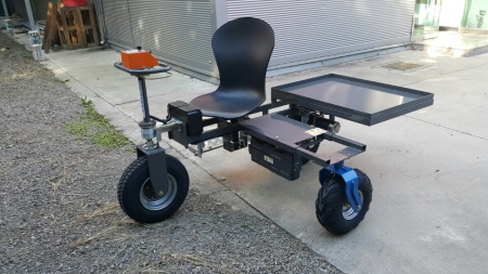 전동포도알솎기