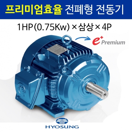 프리미엄효율 전폐형 전동기