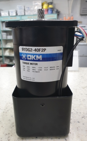 9TDG2-40F2P / 디케이엠 / DKM / 토르크모터 / AC모터 / 토크모터