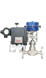 Globe valve