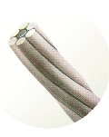 강심 알루미늄연선(ACSR)