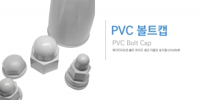 볼트캡