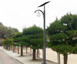태양광