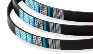 브이리브드 벨트