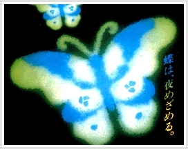 A Luminescent Material 축광 (야광재료)