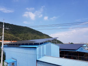 현대태양광발전소