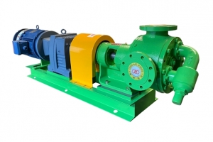 Rotary Gear Pump
