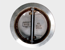 DUAL CHECK VALVE