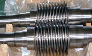 WORM SHAFT
