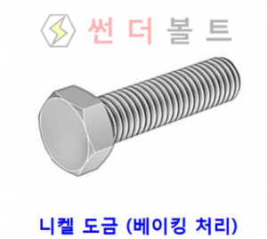 특수 처리 볼트