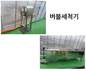 버블세척기 배추세척기