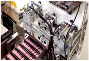 Case Packing Machine