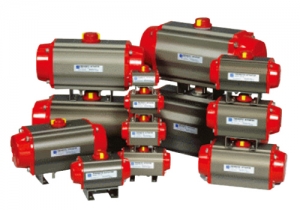 Pneumatic Actutor