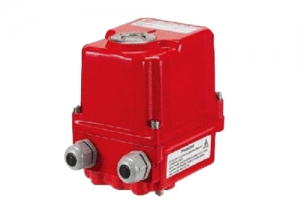 Electiric Actuator (Rotary)