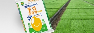 준중량 상토