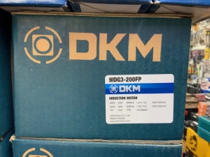 DKM 인덕션 모터 9IDG3-200FP