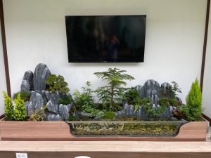 석부작, 분경, 실내조경, 분재