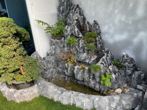 석부작, 분경, 분재