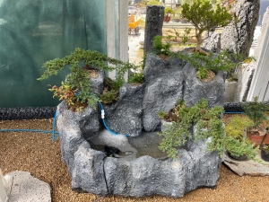 석부작, 분경, 분재