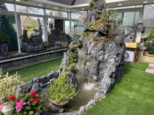 석부작, 분경, 실내조경, 분재