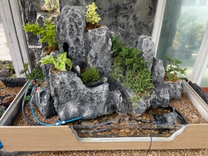 석부작, 분경, 분재