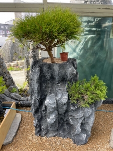 석부작, 분경, 분재