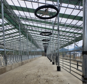 축사 고정선풍기